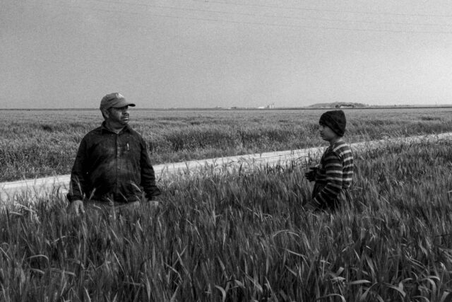 Taraba cu legume proaspete aranjate frumos într-o piață locală