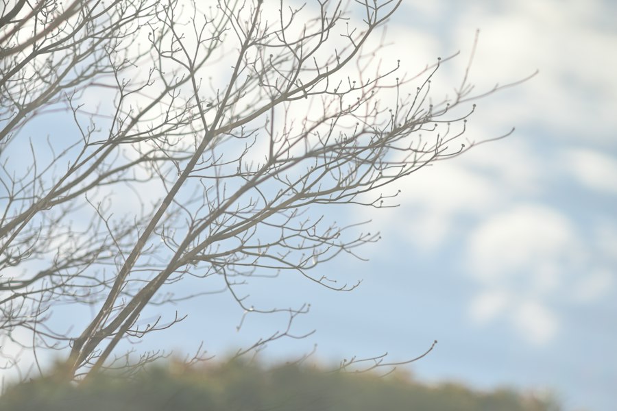 Photo anticipate a change