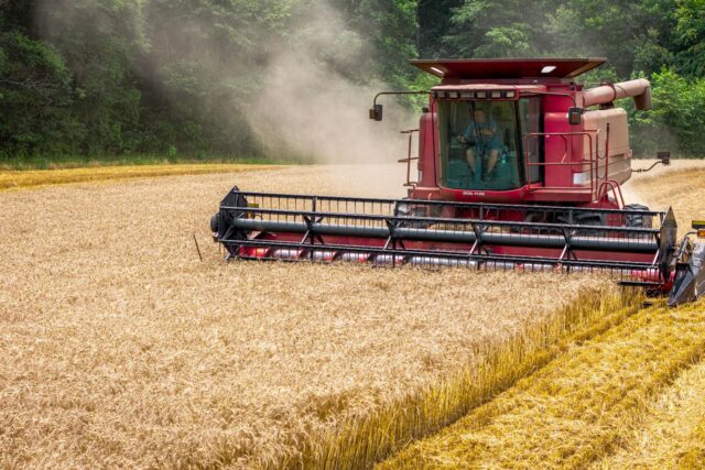 Siloz pentru cereale la marginea unui câmp după recoltare