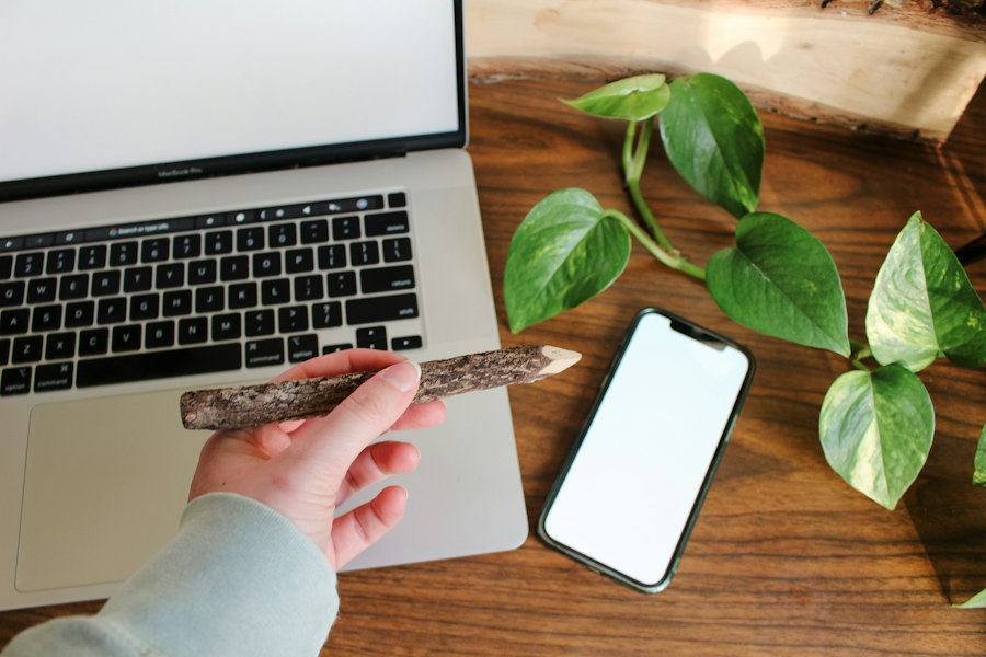 transform passion into sustainable business