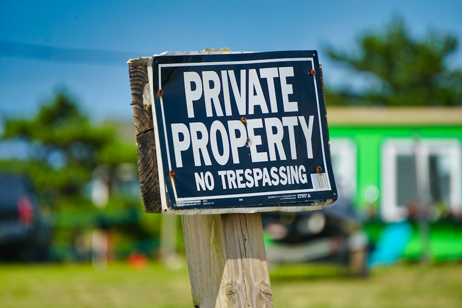 Photo intellectual property