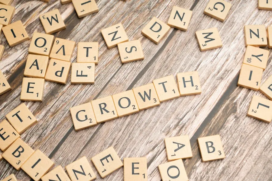 growth strategy guide