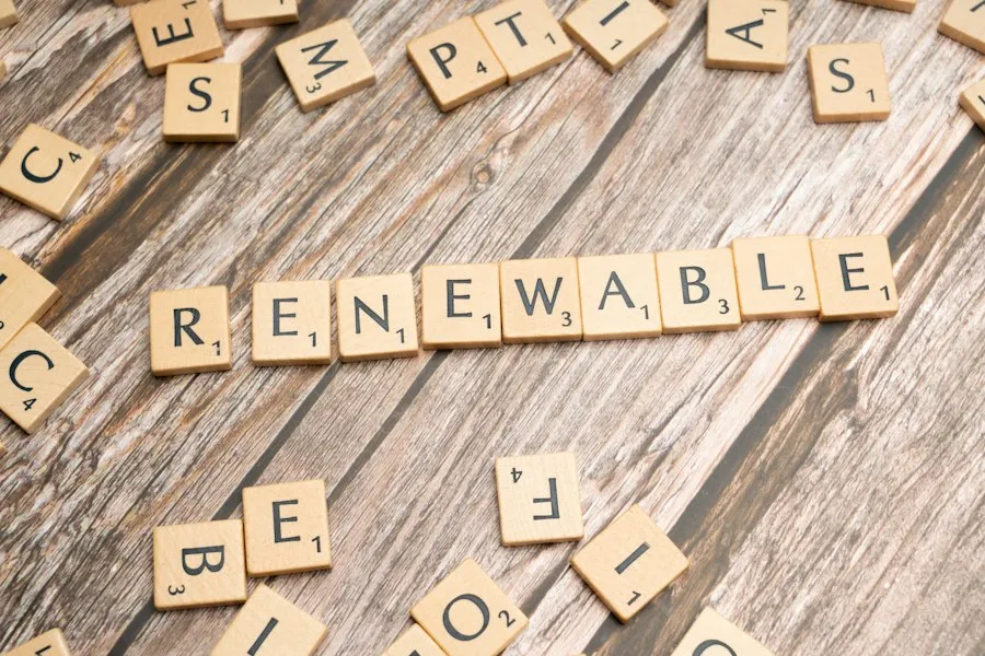 Photo sustainability concepts infographic